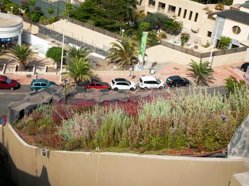 Pitched green roof